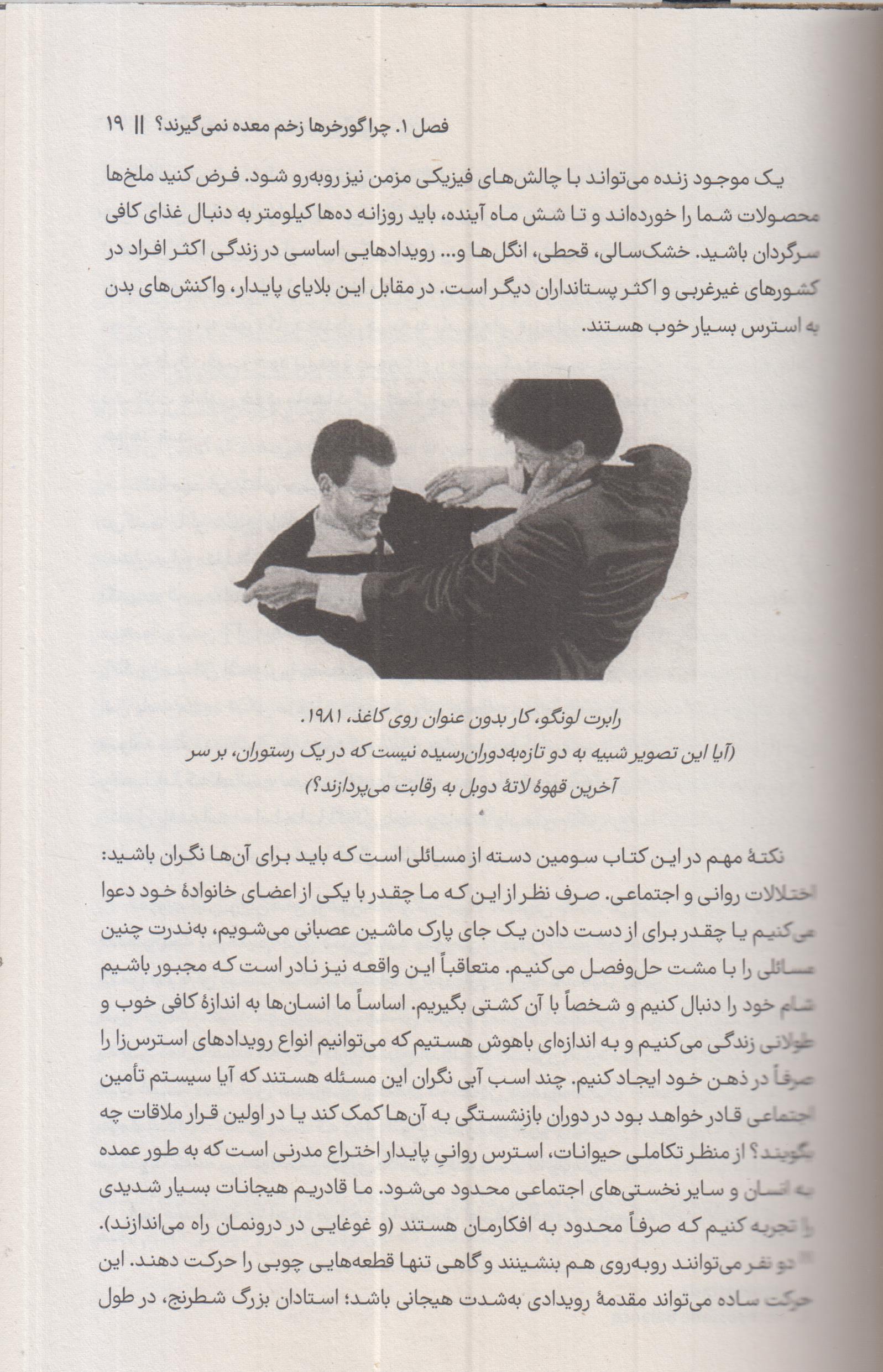 چرا گورخرها زخم معده نمی گیرند